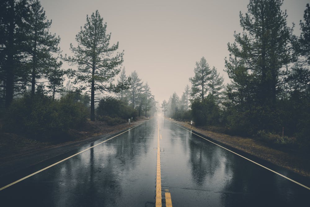 Rainy road